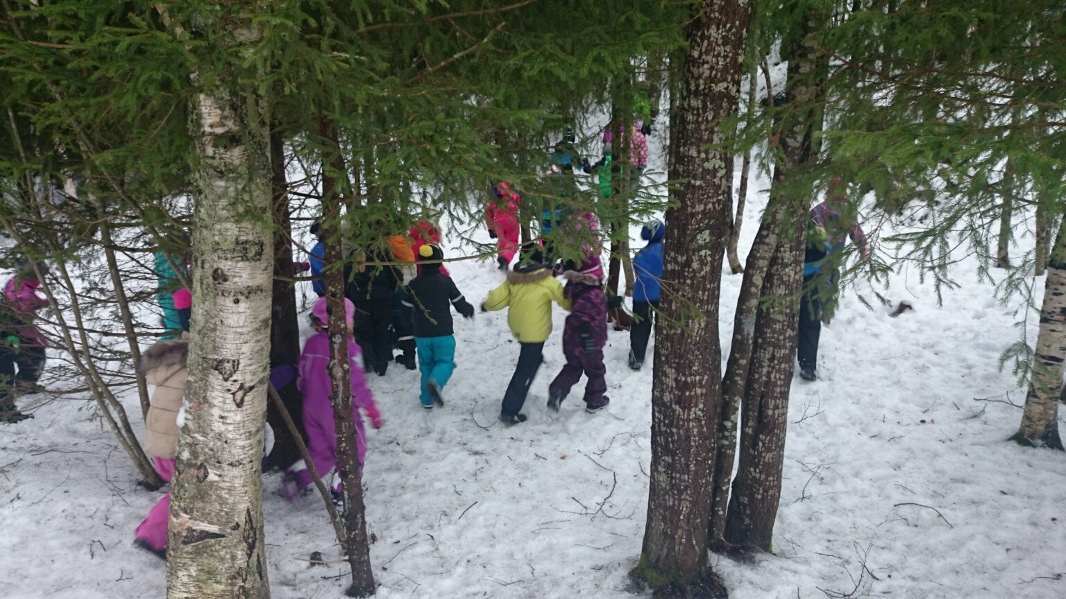 Early childhood education in Finland Finland Education Shop