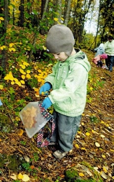 Early childhood education in Finland online course